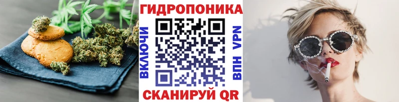 Cannafood конопля  Павловская 