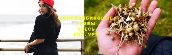 амф Алексин