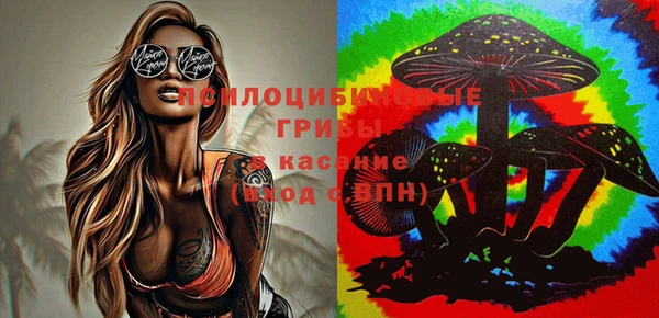 амф Алексин