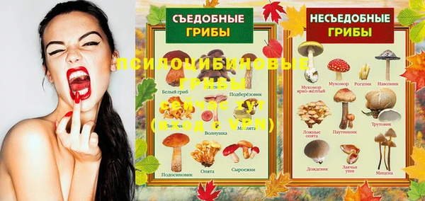 амф Алексин